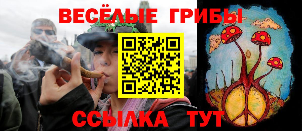 Сальск  купить  цена  Вход с VPN  Псилоцибиновые грибы мицелий 