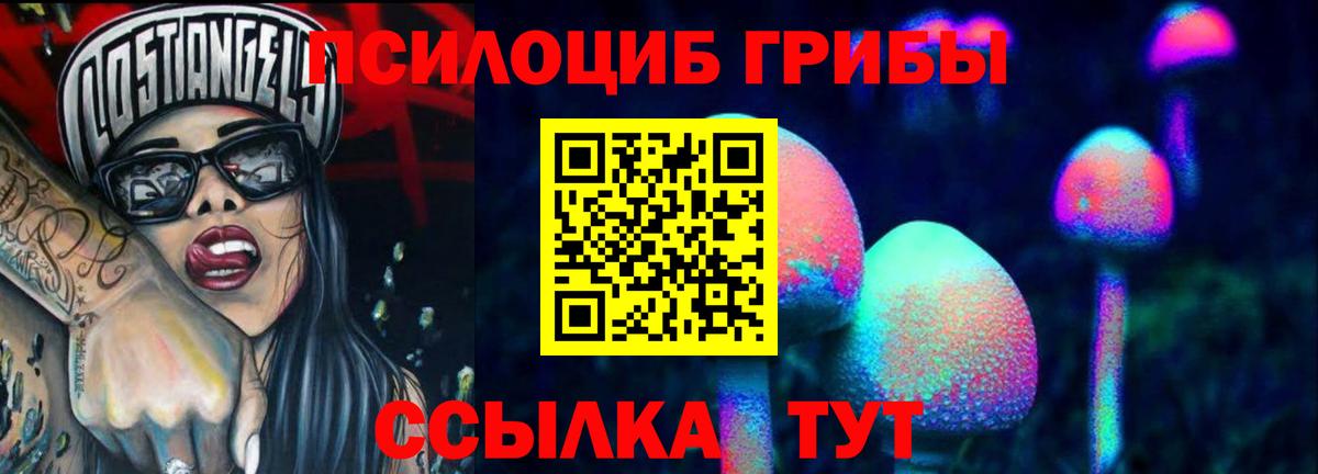 Галлюциногенные грибы мицелий Сальск