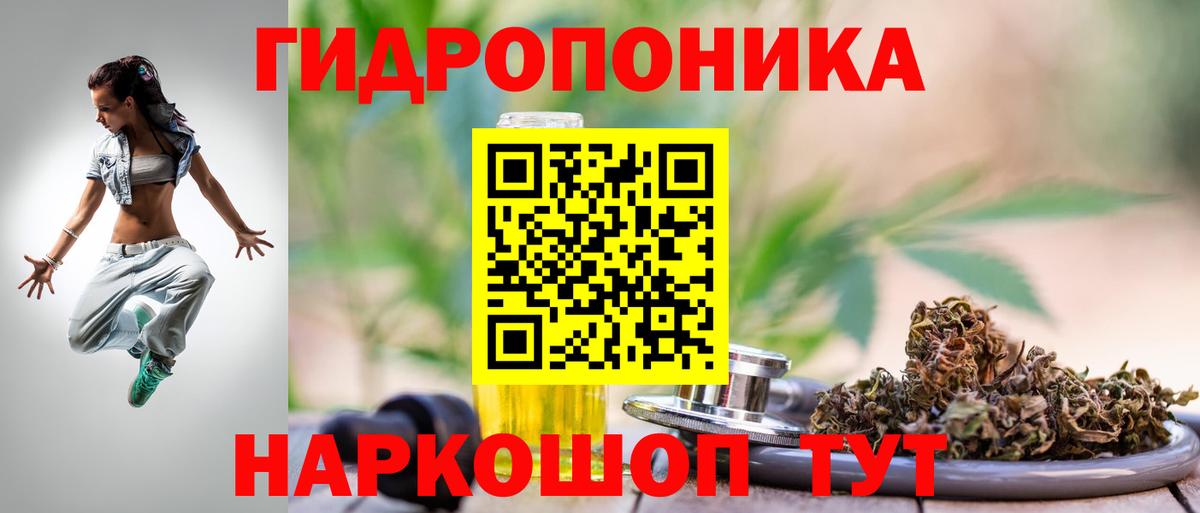Марихуана план Сальск